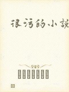 很污的小说封面