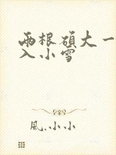 两根硕大一起挤入小雪