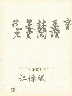 我是林喜宝小说免费阅读