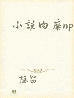 小说肉糜np