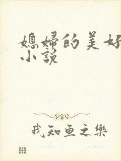 媳妇的美好时代小说封面