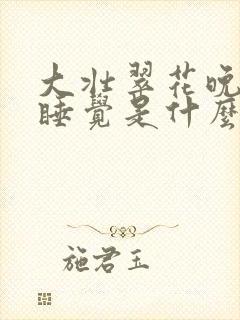 大壮翠花晚上不睡觉是什么电视剧