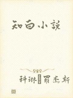 知白小说