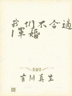 我们不合适1v1军婚