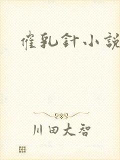 催乳针小说