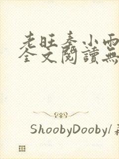 老旺秦小雨小说全文阅读无弹窗