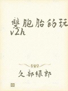 双胞胎的玩具1v2h