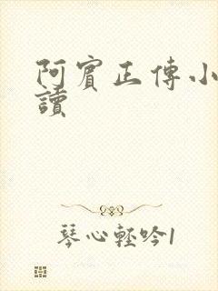 阿宾正传小说在读