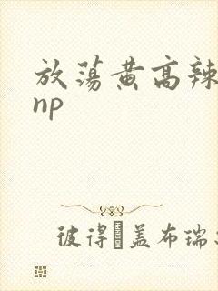 放荡黄高辣h文np
