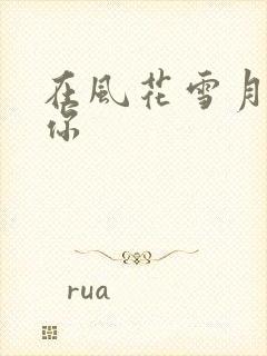 在风花雪月里等你