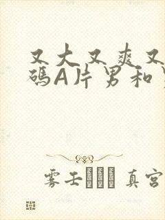 又大又爽又黄无码A片男和男