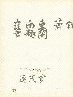 崔向东 萧错 笔趣阁