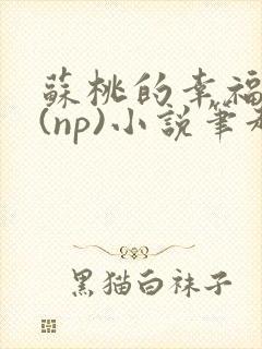 苏桃的幸福生活(np)小说笔趣阁