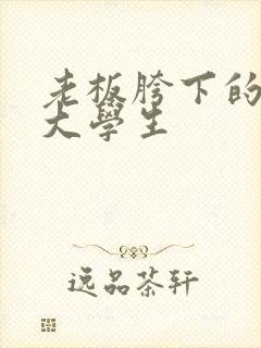 老板胯下的秘书大学生