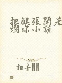 把腿张开老子臊烂你小说封面