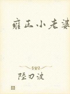 雍正小老婆封面