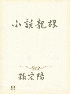 小说龙根封面