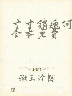 寸寸销魂何生祥全本免费