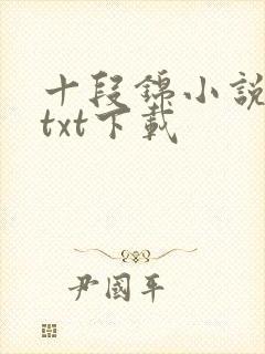 十段锦小说全本txt下载封面