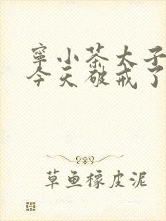 宁小茶太子殿下今天破戒了吗免费阅读