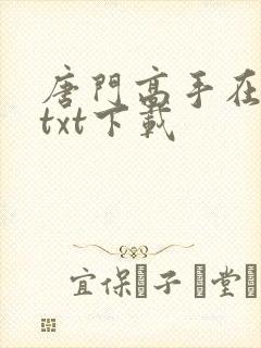 唐门高手在异世txt下载