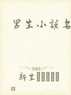 男生小说名字