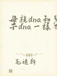 母亲dna和儿子dna一样不封面