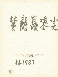 林毅肖远小说免费阅读全文最新章节