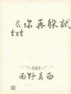《你再躲试试》txt