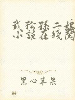 武松孙二娘云雨小说在线阅读