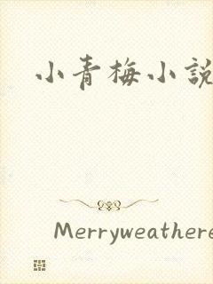 小青梅小说封面