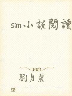 sm小说阅读封面