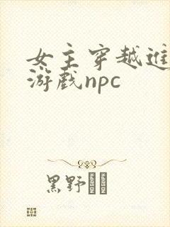 女主穿越进18游戏npc