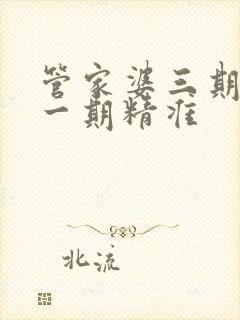 管家婆三期必开一期精准