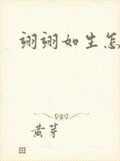 翊翊如生怎么读封面