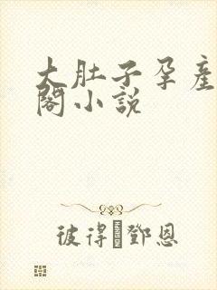 大肚子孕产笔趣阁小说