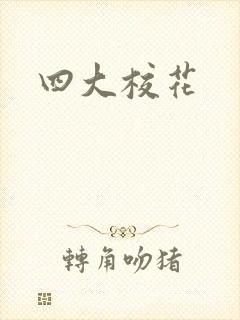 四大校花封面