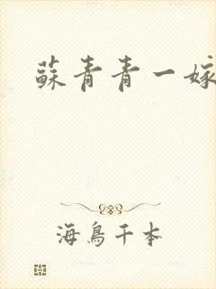 苏青青一嫁三夫封面