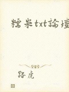 糯米txt论坛封面