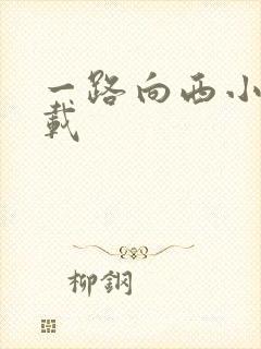 一路向西小说下载