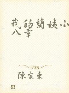 我的兰姨小说第八章封面
