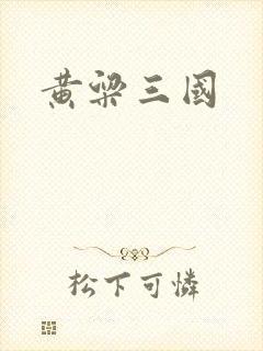 黄粱三国封面