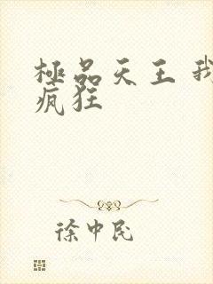 极品天王 我本疯狂