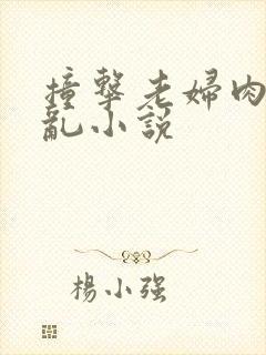 撞击老妇肉体之乱小说封面