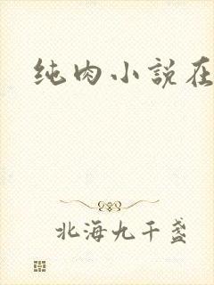 纯肉小说在线
