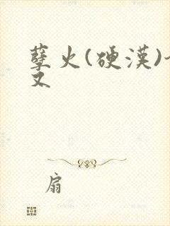 孽火(硬汉)今又