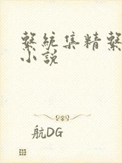 系统集精系统 小说