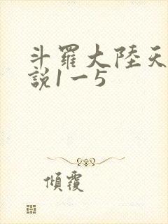 斗罗大陆天狂传说1一5