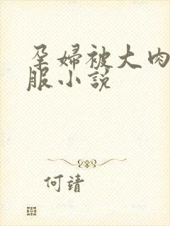 孕妇被大肉楱征服小说封面