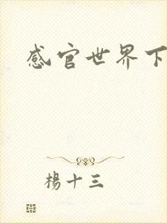 感官世界下载封面